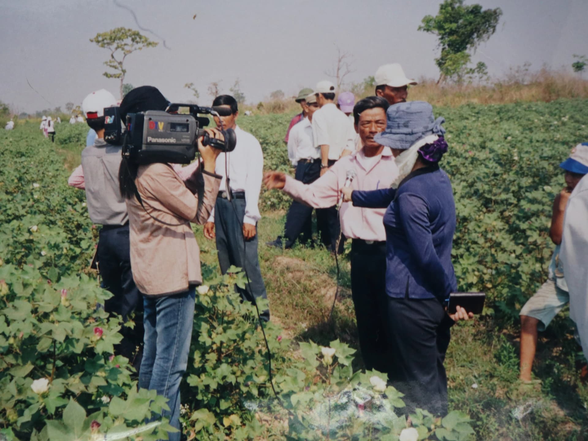 Vườn cây xanh phát triển mạnh mẽ với phân bón hữu cơ